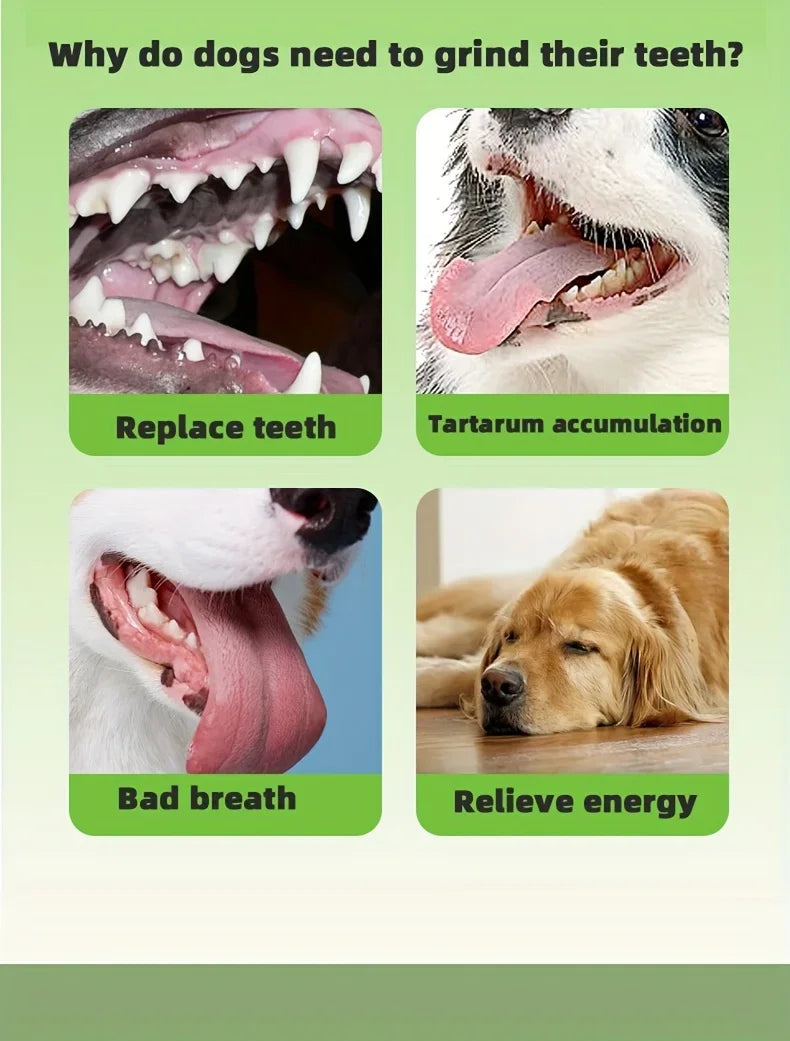 Indestructible Dog Chew Bone Toy for Aggressive Chewers - Durable Thermoplastic Rubber with Geometric Pattern, Teeth Cleaning