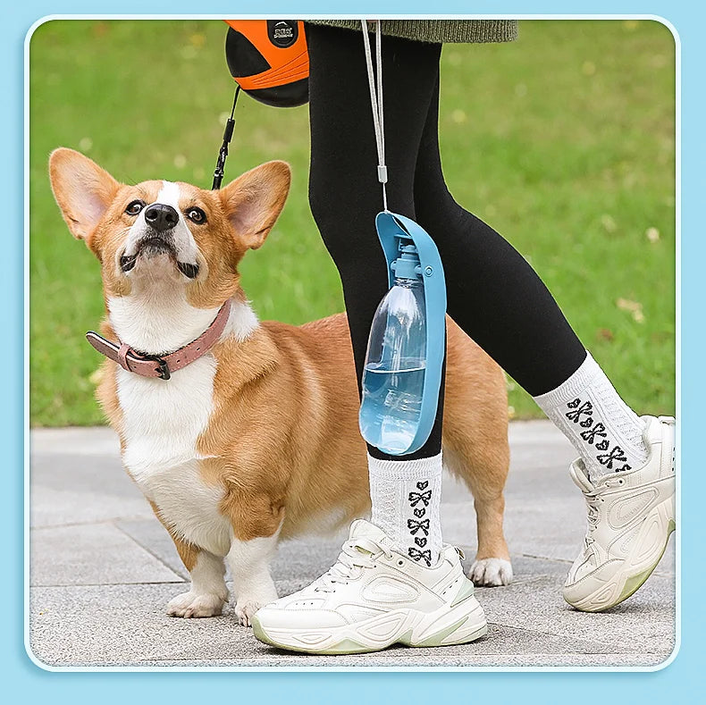 Portable Dog Water Bottle For Small Large Dogs Foldable Lightweight Drinking Bowl Outdoor Travel Walking Running Puppy Supplies
