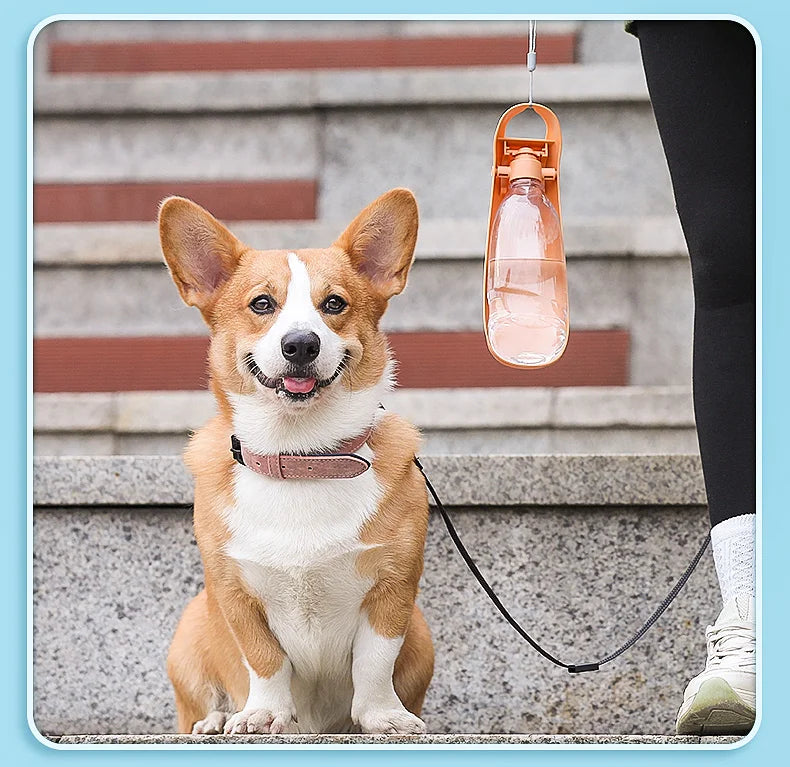 Portable Dog Water Bottle For Small Large Dogs Foldable Lightweight Drinking Bowl Outdoor Travel Walking Running Puppy Supplies