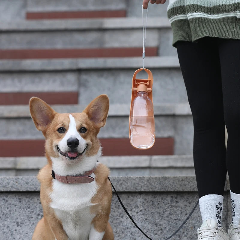 Portable Dog Water Bottle For Small Large Dogs Foldable Lightweight Drinking Bowl Outdoor Travel Walking Running Puppy Supplies