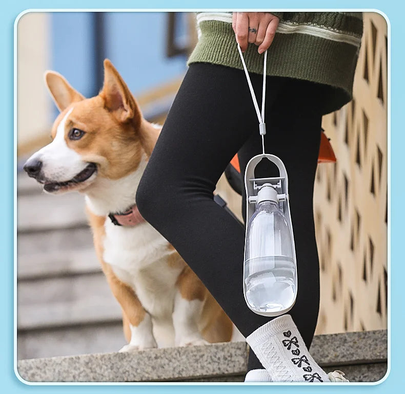 Portable Dog Water Bottle For Small Large Dogs Foldable Lightweight Drinking Bowl Outdoor Travel Walking Running Puppy Supplies