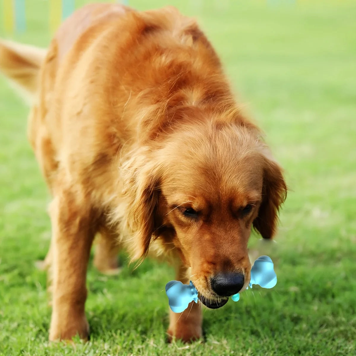 Indestructible Dog Chew Bone Toy for Aggressive Chewers - Durable Thermoplastic Rubber with Geometric Pattern, Teeth Cleaning